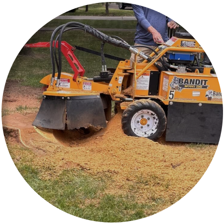 Stump Grinding & Removal 1