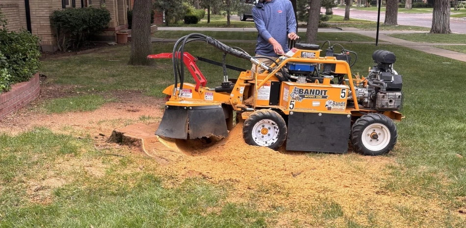 Stump Grinding & Removal
