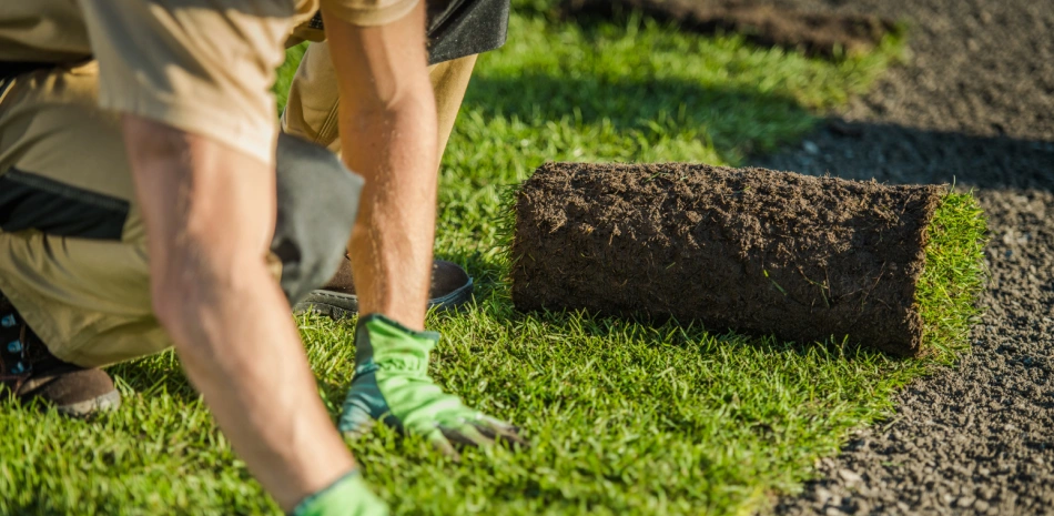 Turf Installation 1